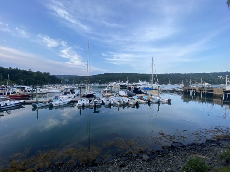 Northeast Harbor in summer. Many yachts and pleasure boats fill this harbor in a town known for its wealthy summer residents. A few lobster fisherman also call this harbor home.