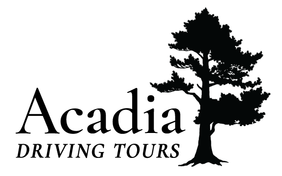 Acadia Driving Tours logo with white pine tree.